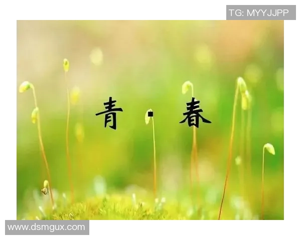 杭州排球队的荣耀之路:从艰辛奋斗到冠军梦想的实现 杭州排球队的荣耀之路:从艰辛奋斗到冠军梦想的实现