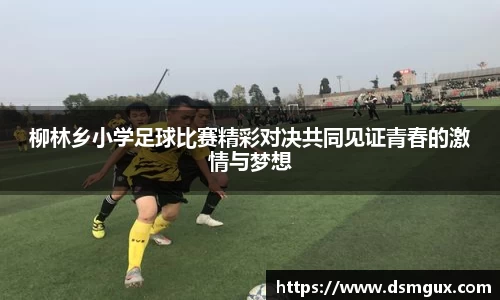 柳林乡小学足球比赛精彩对决共同见证青春的激情与梦想