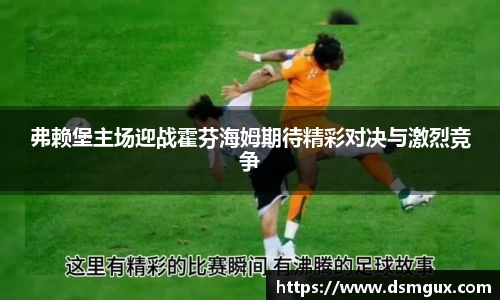 弗赖堡主场迎战霍芬海姆期待精彩对决与激烈竞争
